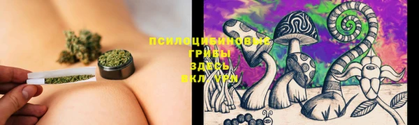 2c-b Горно-Алтайск