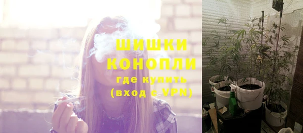 2c-b Горно-Алтайск