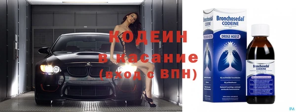 2c-b Горно-Алтайск