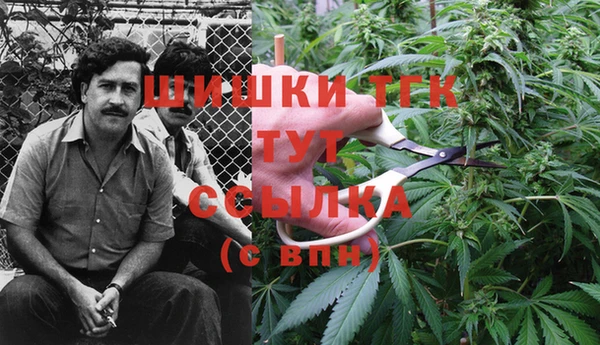 2c-b Горно-Алтайск