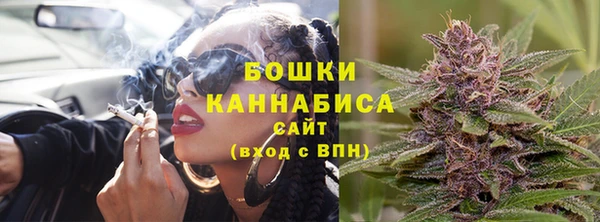 Альфа ПВП Горнозаводск